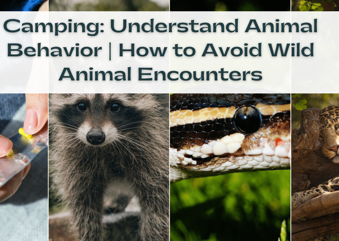 Camping: Understand Animal Behavior | How to Avoid Wild Animal Encounters